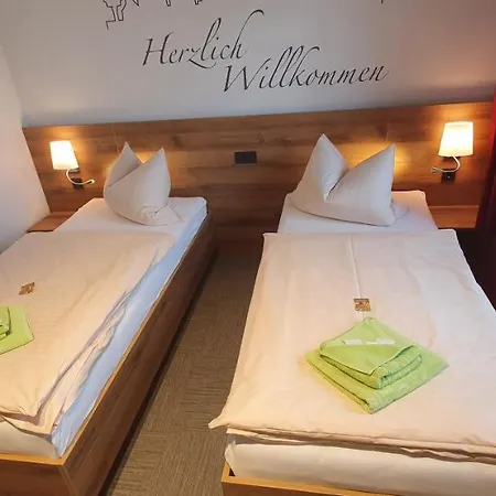 Отель Wettiner Hof Риза