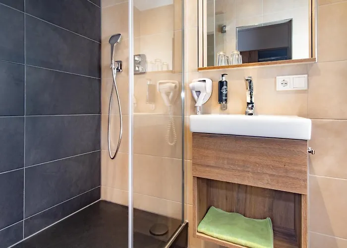 Wettiner Hof 4* ريزا